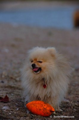 Oct1_07_729.JPG