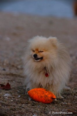 Oct1_07_730.JPG