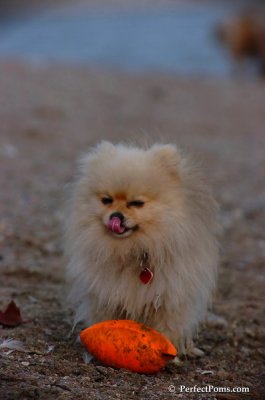 Oct1_07_731.JPG