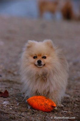 Oct1_07_732.JPG