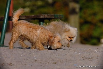 Oct1_07_486.jpg