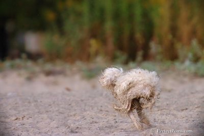 Oct1_07_200.jpg