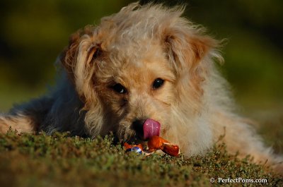 Sept30_07_341.JPG