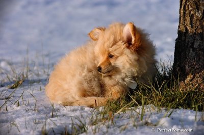 Dec4_07_1000.JPG