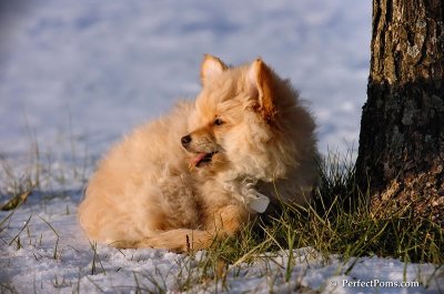 Dec4_07_1001.JPG