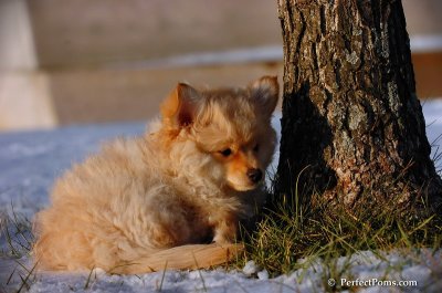 Dec4_07_1006.JPG