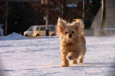 Dec4_07_1011.jpg
