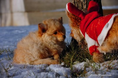 Dec4_07_1016.JPG