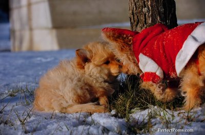 Dec4_07_1017.JPG