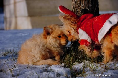 Dec4_07_1018.JPG