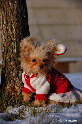 Dec4_07_1019.JPG