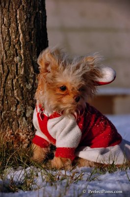 Dec4_07_1020.JPG