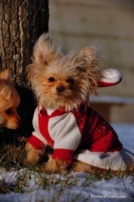 Dec4_07_1021.JPG