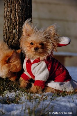 Dec4_07_1022.JPG