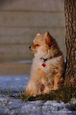 Dec4_07_1024.JPG