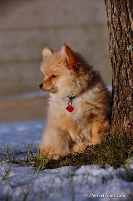 Dec4_07_1026.JPG