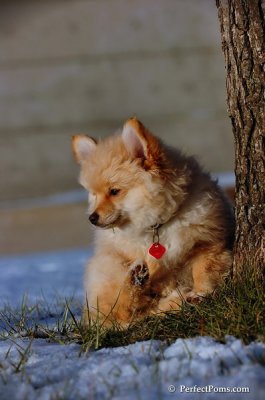 Dec4_07_1027.JPG