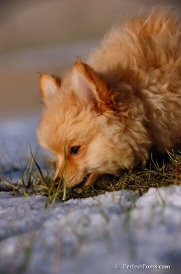 Dec4_07_1030.JPG