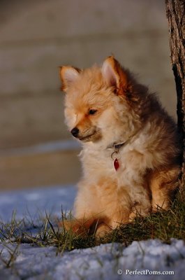 Dec4_07_1032.JPG