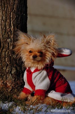 Dec4_07_1035.JPG