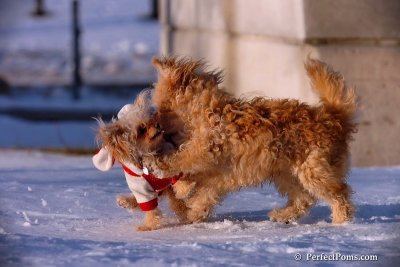 Dec4_07_1044.jpg