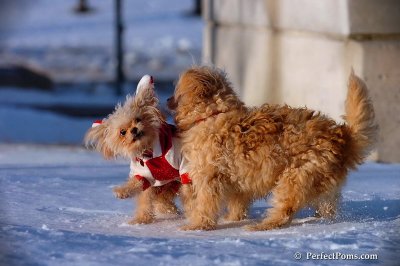 Dec4_07_1045.jpg