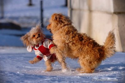 Dec4_07_1046.jpg