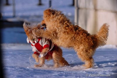 Dec4_07_1047.jpg