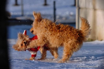 Dec4_07_1048.jpg