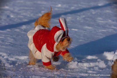 Dec4_07_1050.jpg