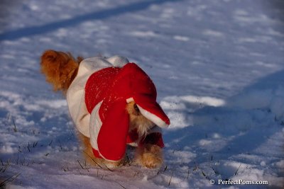 Dec4_07_1051.jpg