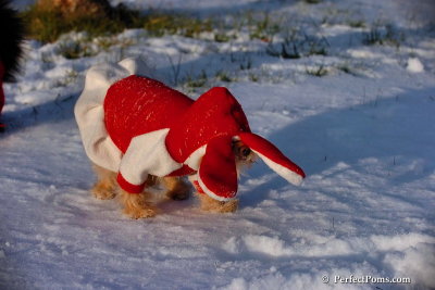 Dec4_07_1052.jpg