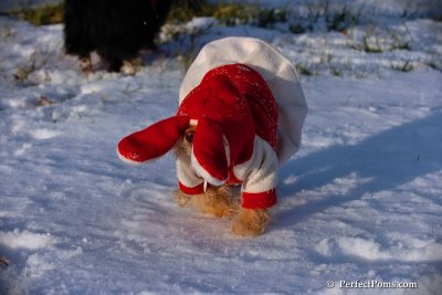 Dec4_07_1053.jpg