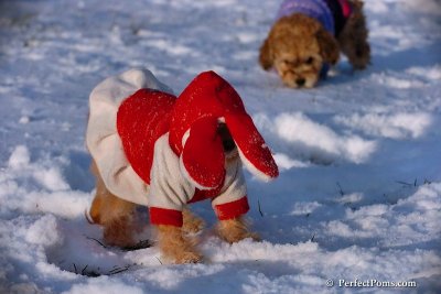 Dec4_07_1054.jpg