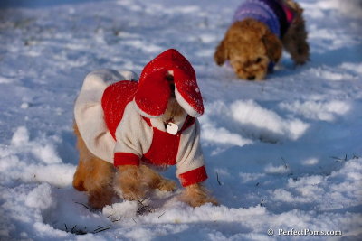Dec4_07_1055.jpg
