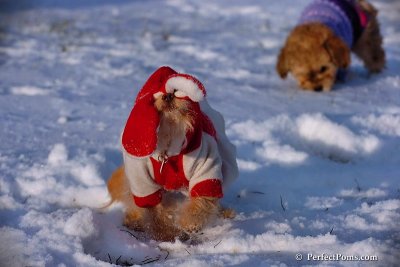 Dec4_07_1056.jpg