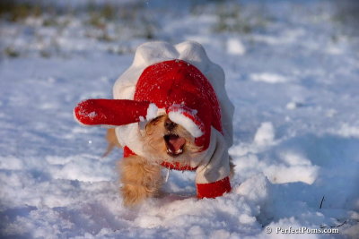 Dec4_07_1057.jpg