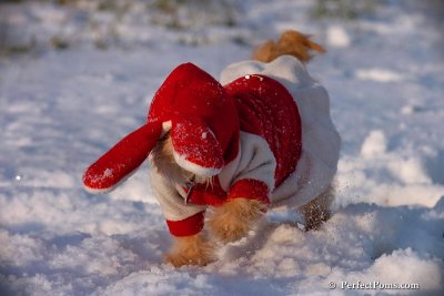 Dec4_07_1058.jpg