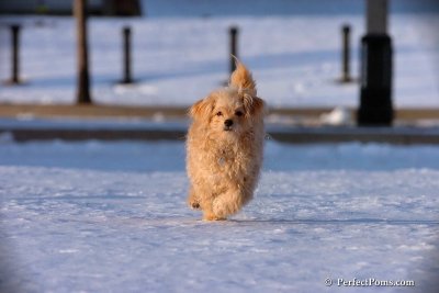 Dec4_07_1060.jpg