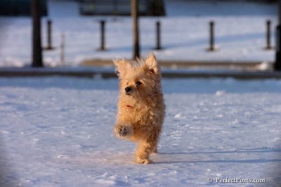 Dec4_07_1063.jpg