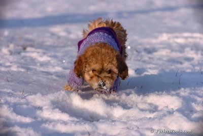 Dec4_07_1064.jpg