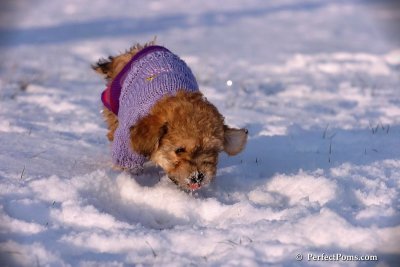Dec4_07_1065.jpg