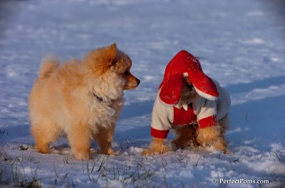 Dec4_07_1067.JPG