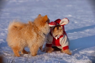 Dec4_07_1068.JPG
