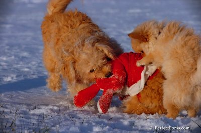 Dec4_07_1070.JPG