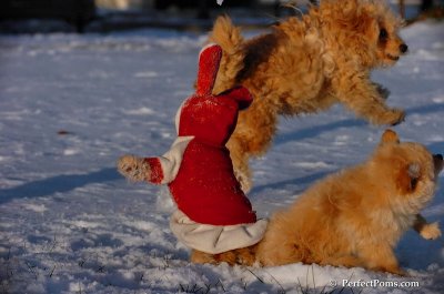 Dec4_07_1071.JPG