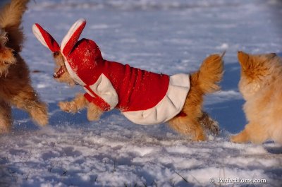 Dec4_07_1072.JPG