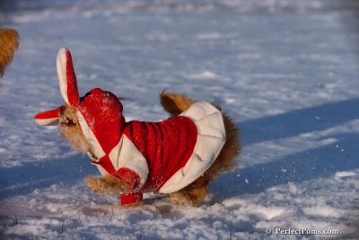 Dec4_07_1073.jpg