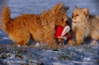 Dec4_07_1074.JPG