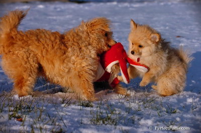 Dec4_07_1075.JPG